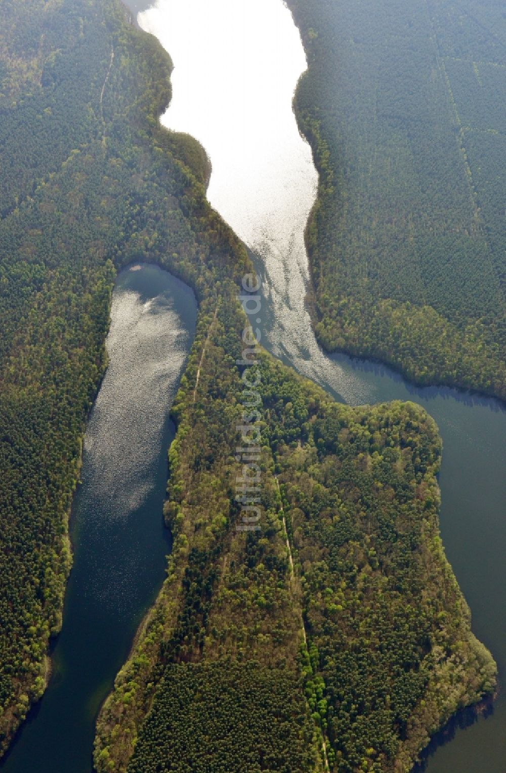 Luftbild Groß Dölln - Gelände des ehemaligen Carinhall- Anwesens in der Schorfheide zwischen Großdöllner See und Wuckersee im Ortsteil Groß Dölln im Bundesland Brandenburg