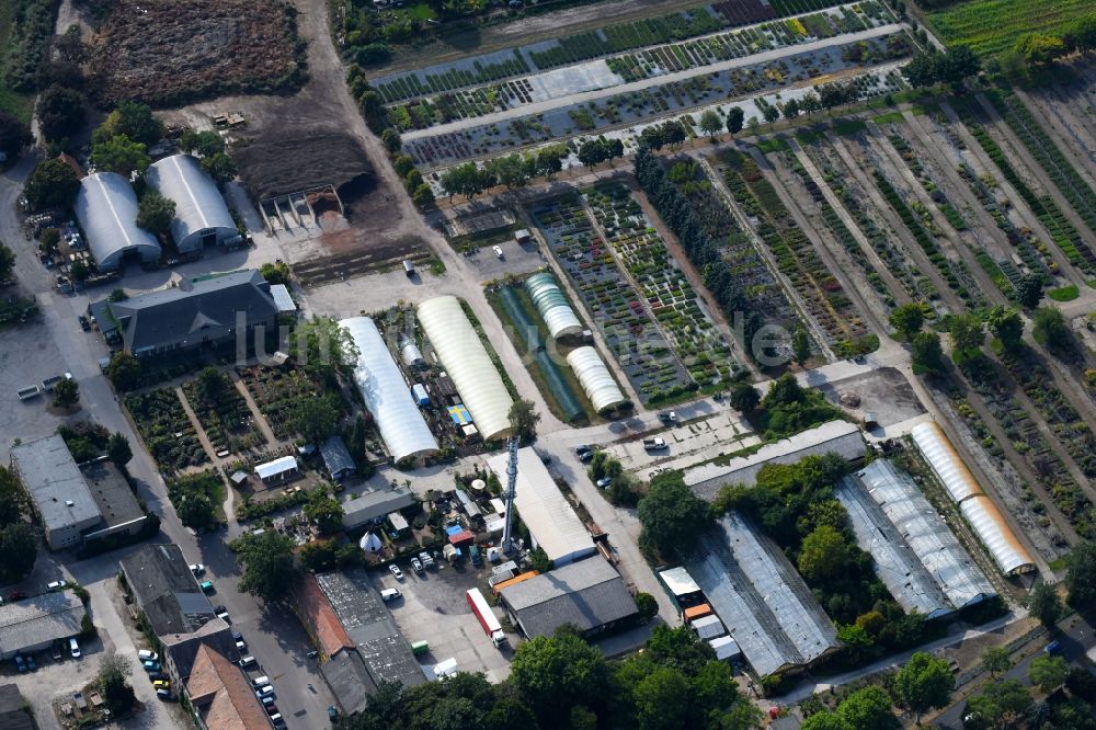 Luftbild Berlin - Gelände der Späthschen Baumschulen Handel GmbH in Berlin