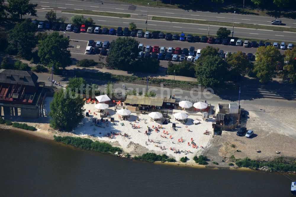 Luftbild Magdeburg - Gelände der Strandbar Magdeburg am Ufer der Elbe in Magdeburg in Sachsen-Anhalt