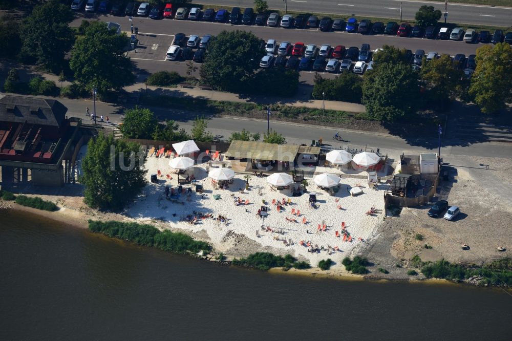 Luftaufnahme Magdeburg - Gelände der Strandbar Magdeburg am Ufer der Elbe in Magdeburg in Sachsen-Anhalt