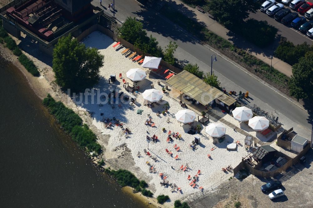 Magdeburg von oben - Gelände der Strandbar Magdeburg am Ufer der Elbe in Magdeburg in Sachsen-Anhalt