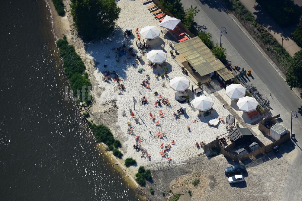 Magdeburg aus der Vogelperspektive: Gelände der Strandbar Magdeburg am Ufer der Elbe in Magdeburg in Sachsen-Anhalt