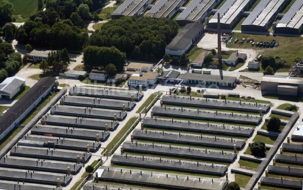 Bad Kleinen von oben - Gelände der Tierzucht Gut Losten GmbH bei Bad Kleinen im Bundesland Mecklenburg-Vorpommern