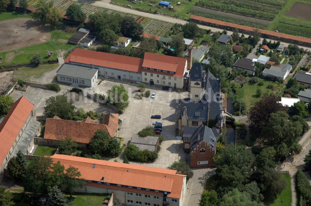 Quedlinburg von oben - Gelände der Wipertikirche Quedlinburg