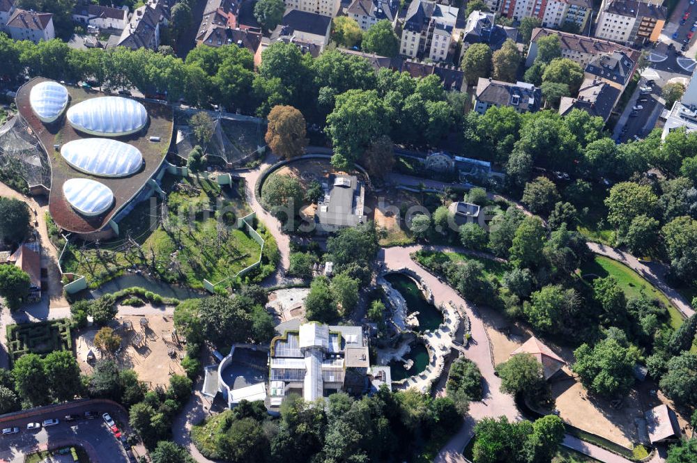 Frankfurt am Main von oben - Gelände des Zoo Frankfurt / Zoologischer Garten Frankfurt