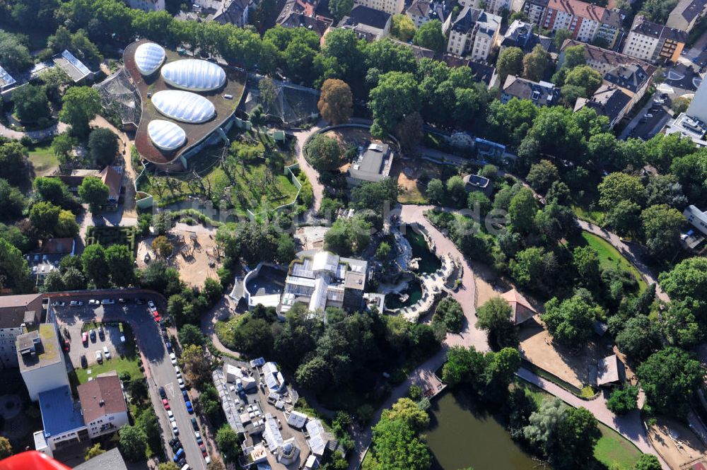 Frankfurt am Main aus der Vogelperspektive: Gelände des Zoo Frankfurt / Zoologischer Garten Frankfurt