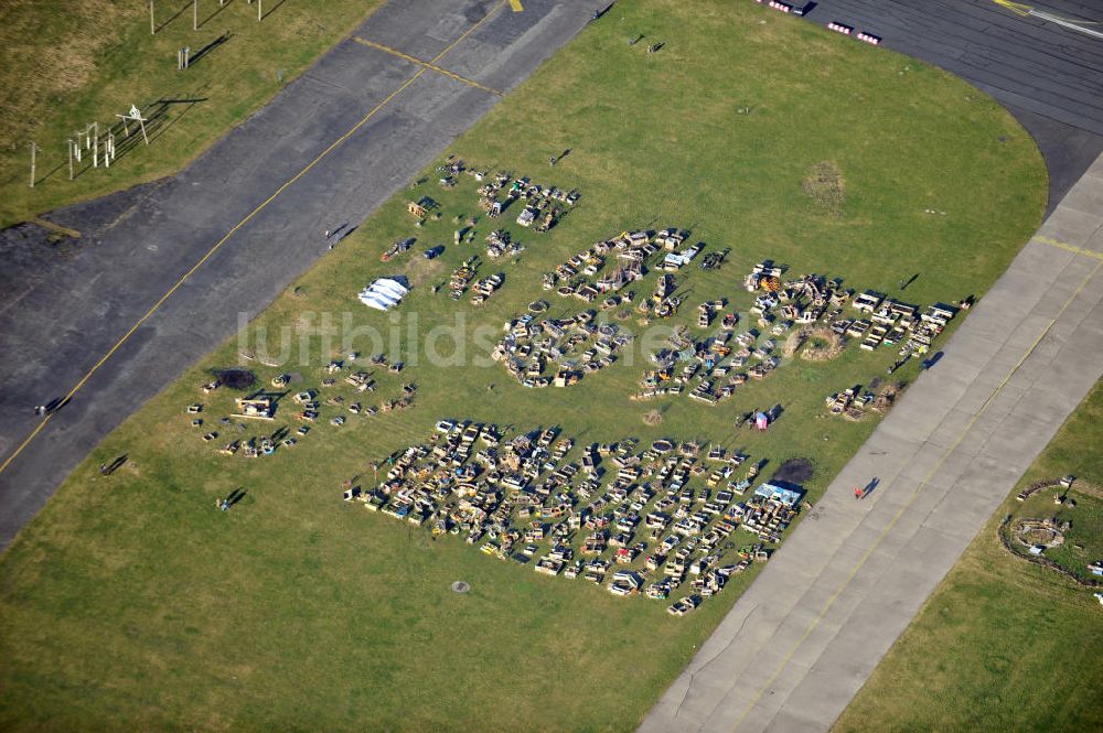 Berlin von oben - Gemeinschaftsgärten auf dem ehemaligen Flughafen Tempelhof in Berlin