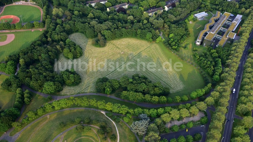 Bonn von oben - Gemähte Grasfläche in der Rheinaue in Bonn im Bundesland Nordrhein-Westfalen, Deutschland