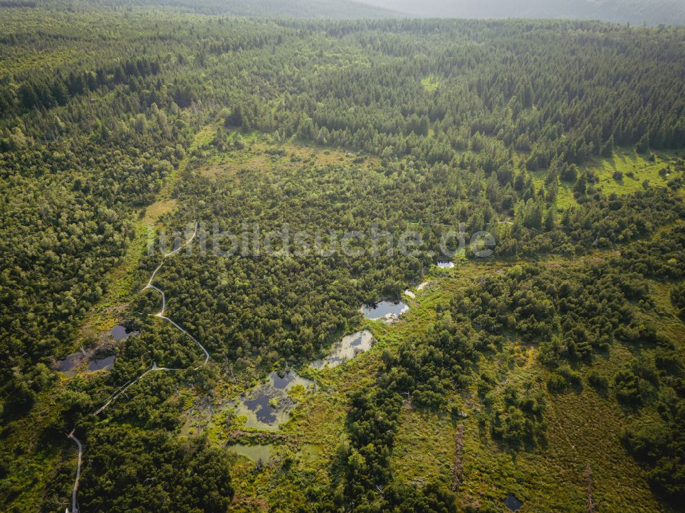 Altenberg aus der Vogelperspektive: Georgenfelder Hochmoor in Altenberg im Bundesland Sachsen, Deutschland