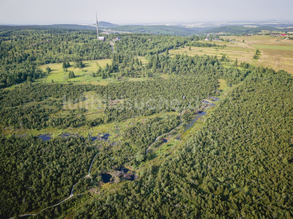 Luftbild Altenberg - Georgenfelder Hochmoor in Altenberg im Bundesland Sachsen, Deutschland