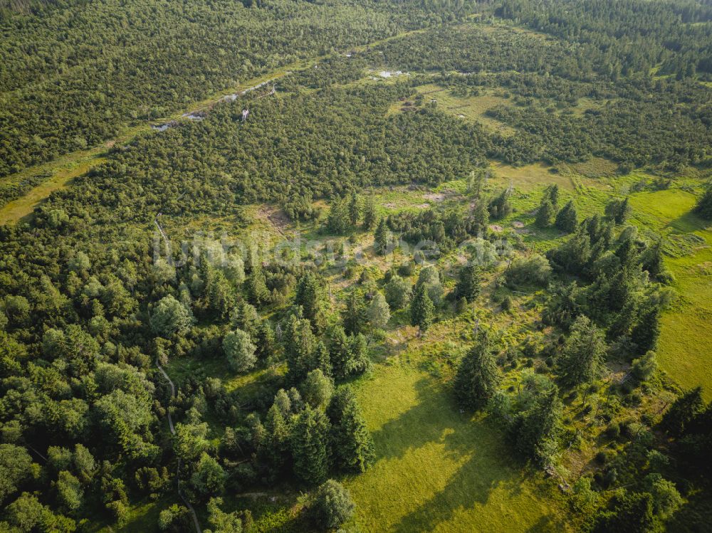 Luftaufnahme Altenberg - Georgenfelder Hochmoor in Altenberg im Bundesland Sachsen, Deutschland