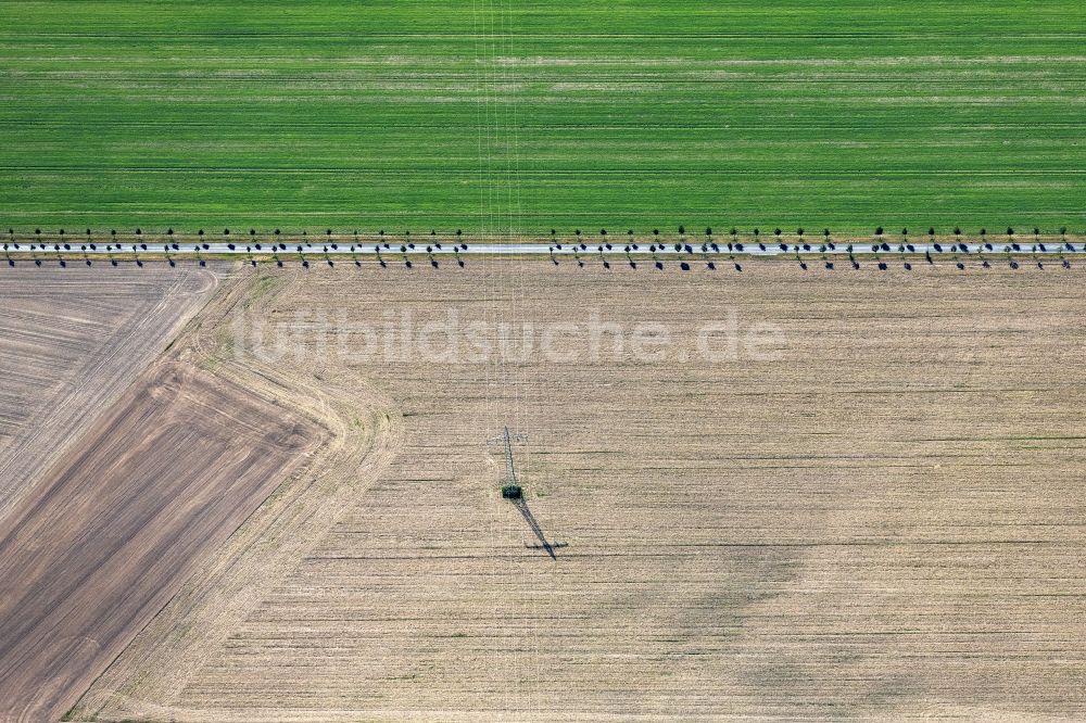 Luftbild Treuenbrietzen - Gepflügter Acker mit Stromleitungstrasse in Treuenbrietzen im Bundesland Brandenburg, Deutschland