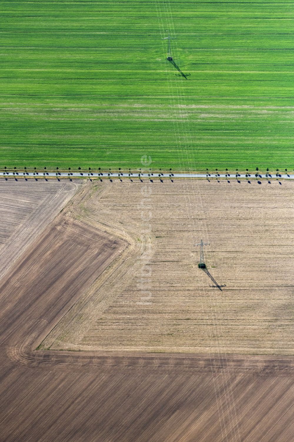 Treuenbrietzen aus der Vogelperspektive: Gepflügter Acker mit Stromleitungstrasse in Treuenbrietzen im Bundesland Brandenburg, Deutschland