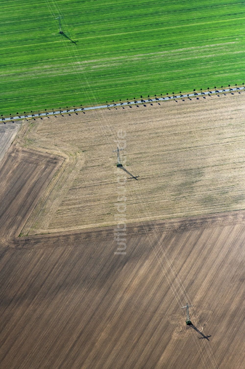 Luftbild Treuenbrietzen - Gepflügter Acker mit Stromleitungstrasse in Treuenbrietzen im Bundesland Brandenburg, Deutschland