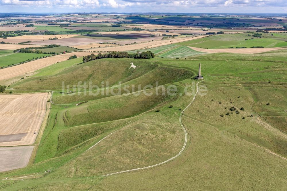 Luftbild Cherhill - Geschichts- Denkmal Cherhill White Horse und Obelisk Lansdowne Monument in Cherhill in Vereinigtes Königreich