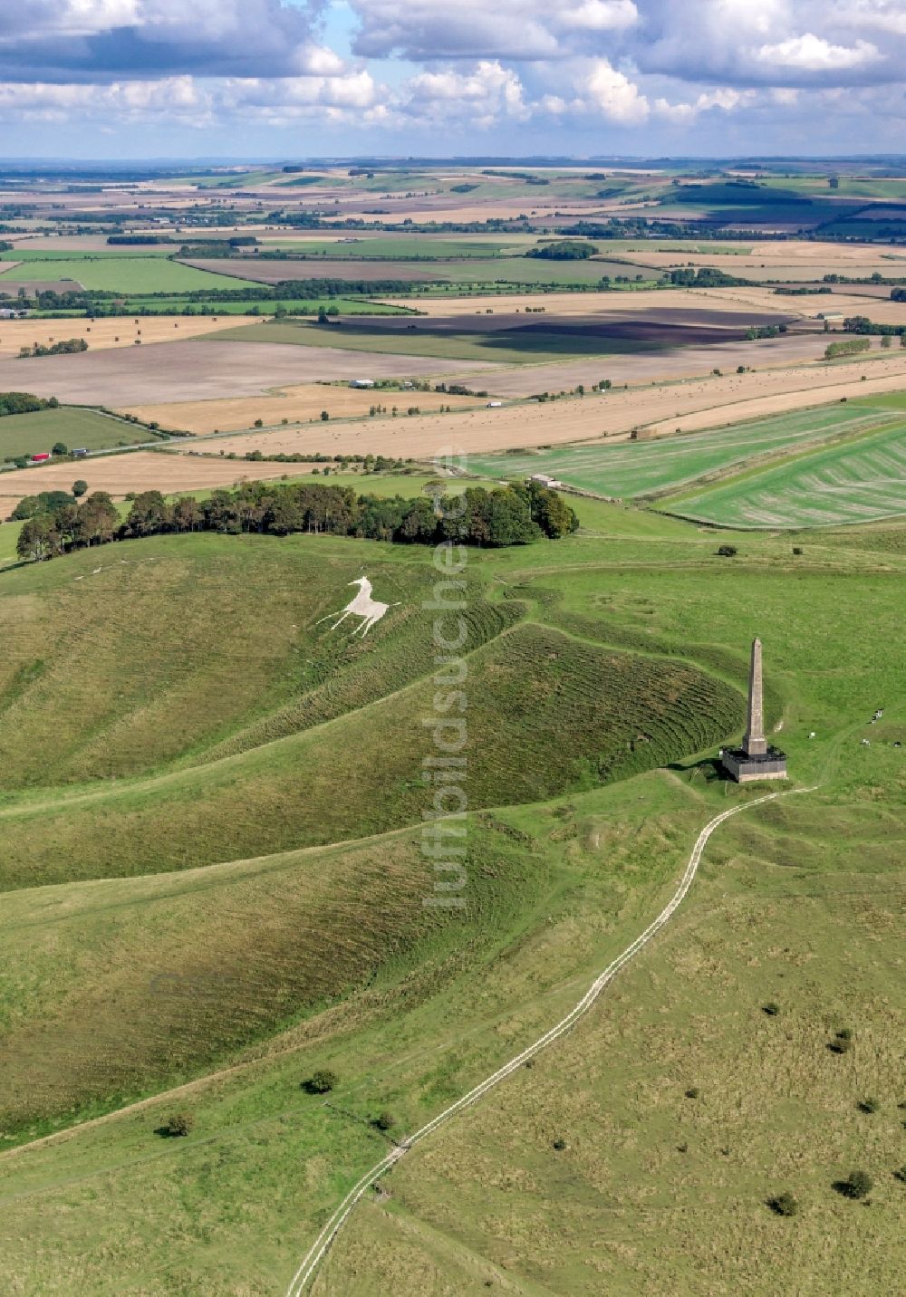 Luftaufnahme Cherhill - Geschichts- Denkmal Cherhill White Horse und Obelisk Lansdowne Monument in Cherhill in Vereinigtes Königreich