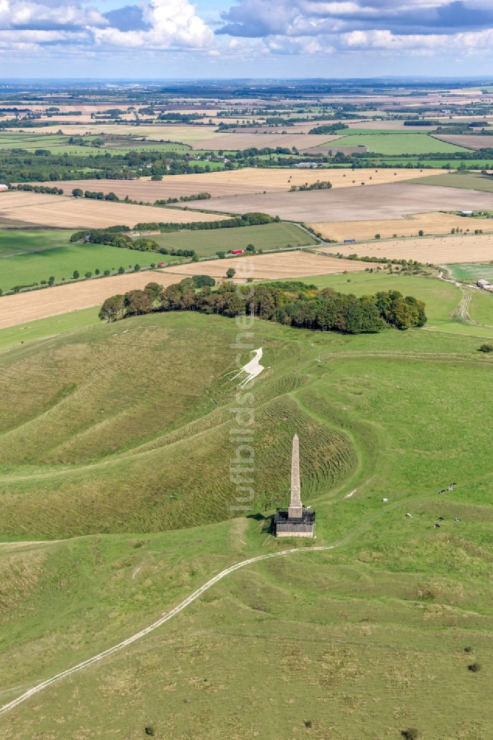 Cherhill aus der Vogelperspektive: Geschichts- Denkmal Cherhill White Horse und Obelisk Lansdowne Monument in Cherhill in Vereinigtes Königreich