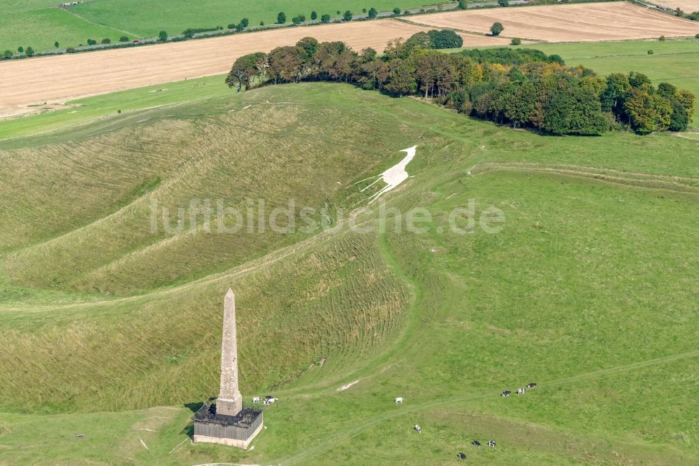 Luftbild Cherhill - Geschichts- Denkmal Cherhill White Horse und Obelisk Lansdowne Monument in Cherhill in Vereinigtes Königreich