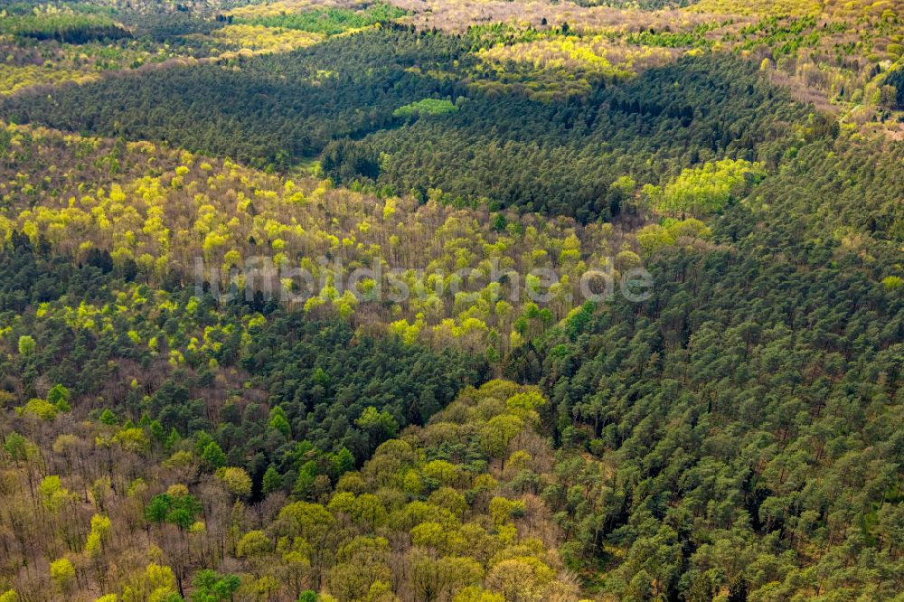 Luftaufnahme Kleve - Geschichts- Denkmal Reichswald Forest War Cemetery im Waldgebiet in Kleve im Bundesland Nordrhein-Westfalen, Deutschland