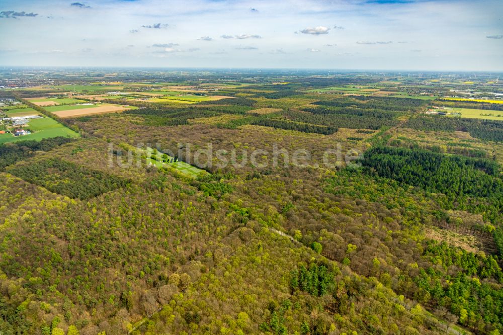 Kleve aus der Vogelperspektive: Geschichts- Denkmal Reichswald Forest War Cemetery im Waldgebiet in Kleve im Bundesland Nordrhein-Westfalen, Deutschland