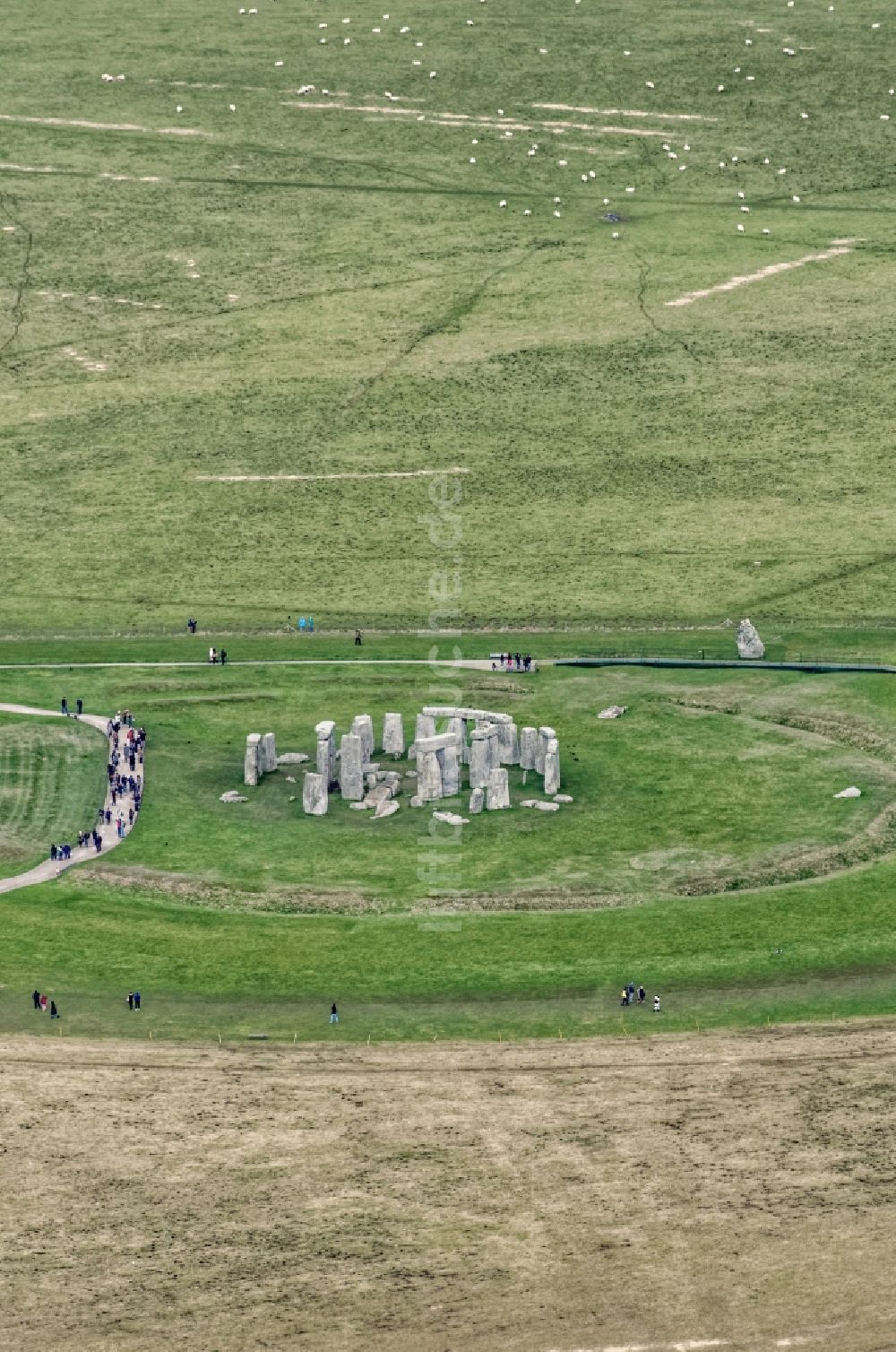 Amesbury aus der Vogelperspektive: Geschichts- Denkmal Stonehenge auf einem grünen Rasen- Feld in Amesbury in Vereinigtes Königreich