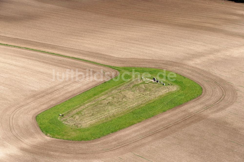 Luftaufnahme West Kennett - Geschichts- Denkmal West Kennet Long Barrow Marlborough in West Kennett in Vereinigtes Königreich