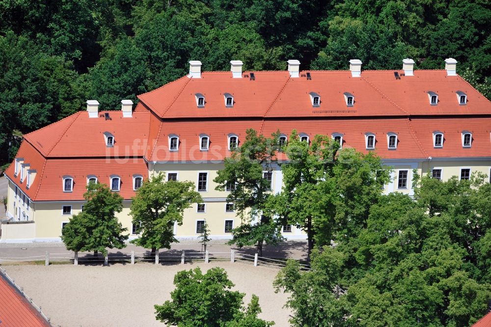 Torgau von oben - Gestüt Graditz in Torgau im Bundesland Sachsen