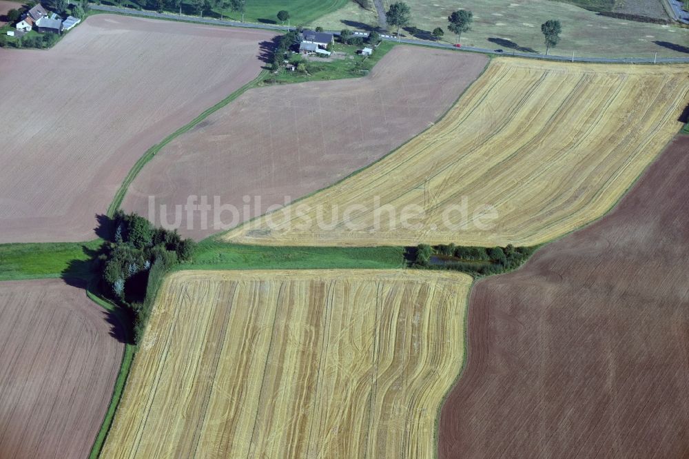 Luftbild Dittersbach - Getreidefeld- Strukturen bei Dittersbach im Bundesland Sachsen
