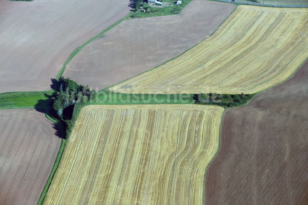 Luftaufnahme Dittersbach - Getreidefeld- Strukturen bei Dittersbach im Bundesland Sachsen