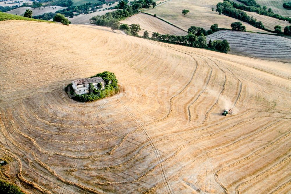 Luftaufnahme Fossombrone - Getreidefeld- Strukturen in Fossombrone in Marche, Italien