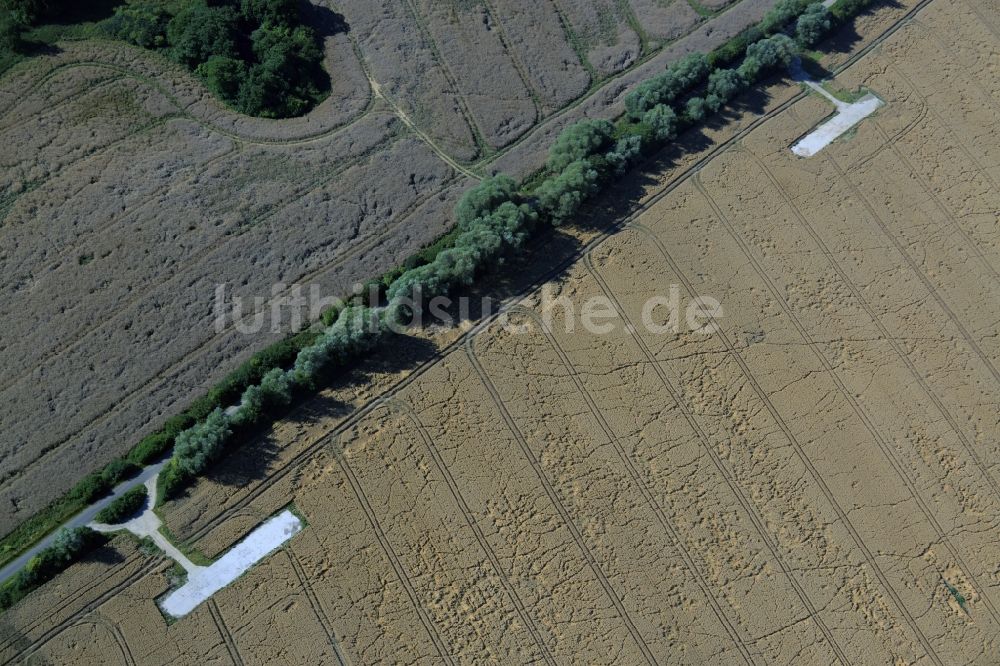 Kuchelmiß aus der Vogelperspektive: Getreidefeld- Strukturen in Kuchelmiß im Bundesland Mecklenburg-Vorpommern