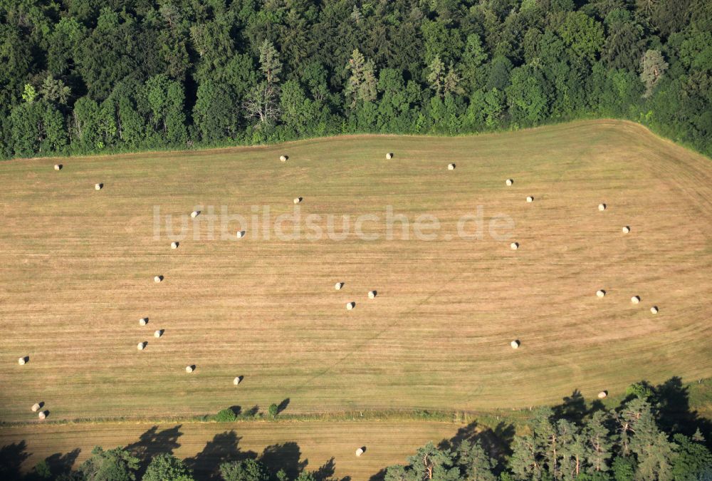 Luftaufnahme Plaue - Getreidefeld- Strukturen in Plaue im Bundesland Thüringen, Deutschland