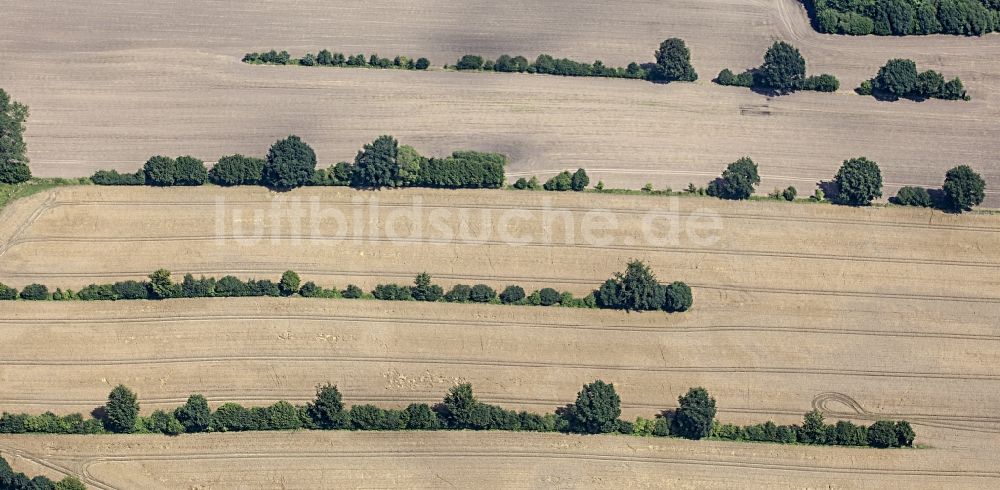 Rohlstorf von oben - Getreidefeld- Strukturen in Rohlstorf im Bundesland Schleswig-Holstein