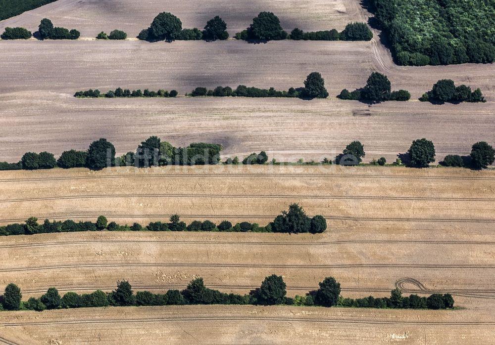 Rohlstorf aus der Vogelperspektive: Getreidefeld- Strukturen in Rohlstorf im Bundesland Schleswig-Holstein