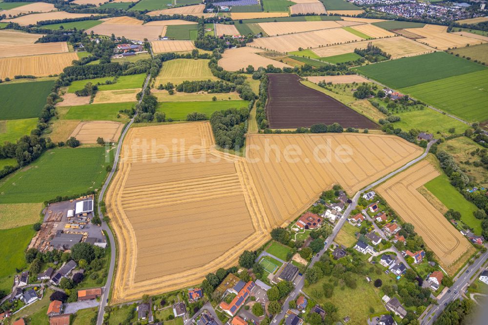 Soest aus der Vogelperspektive: Getreidefeld- Strukturen in Soest im Bundesland Nordrhein-Westfalen, Deutschland