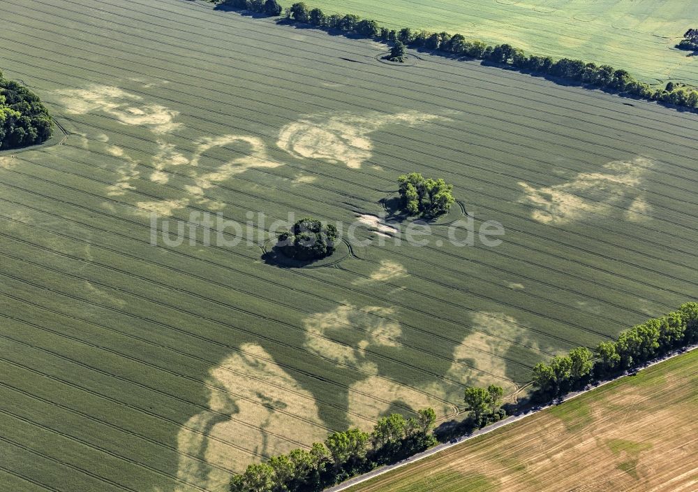 Luftaufnahme Wittstock/Dosse - Getreidefeld- Strukturen in Wittstock/Dosse im Bundesland Brandenburg