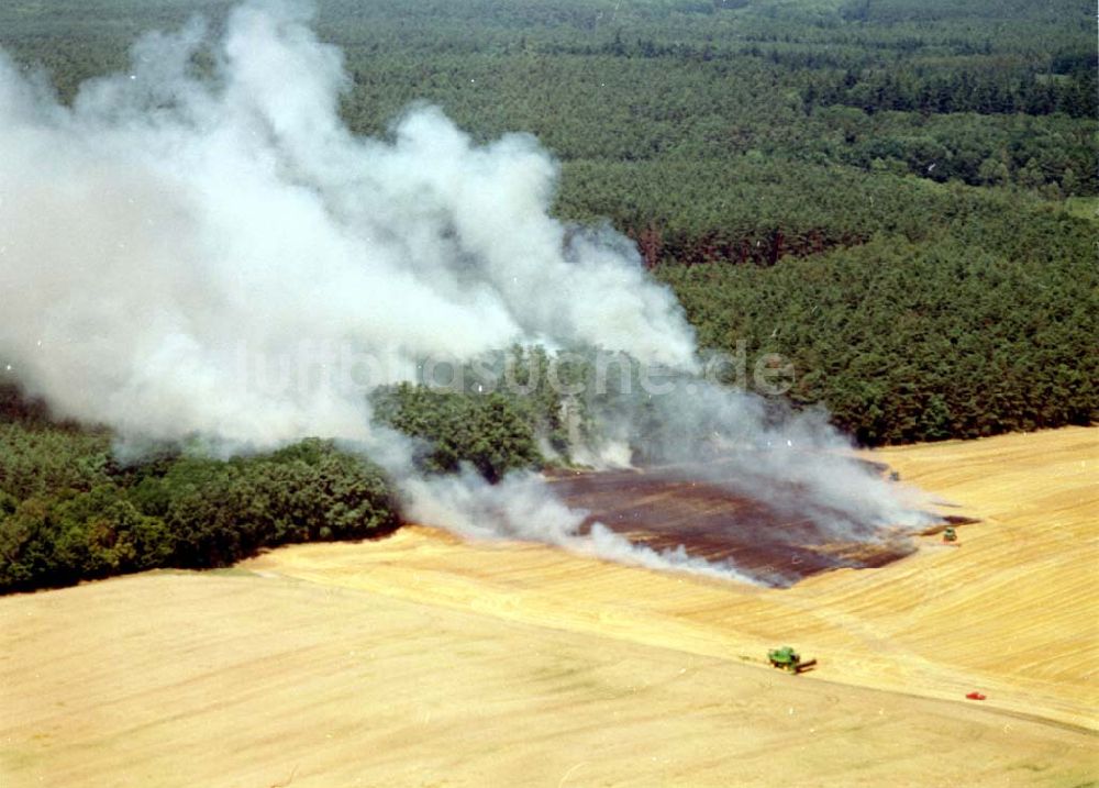 Buckow von oben - Getreidefeldbrand südlich von Buckow in der Märkischen Schweiz am 09.07.02 gegen 14:00 Uhr MEZ