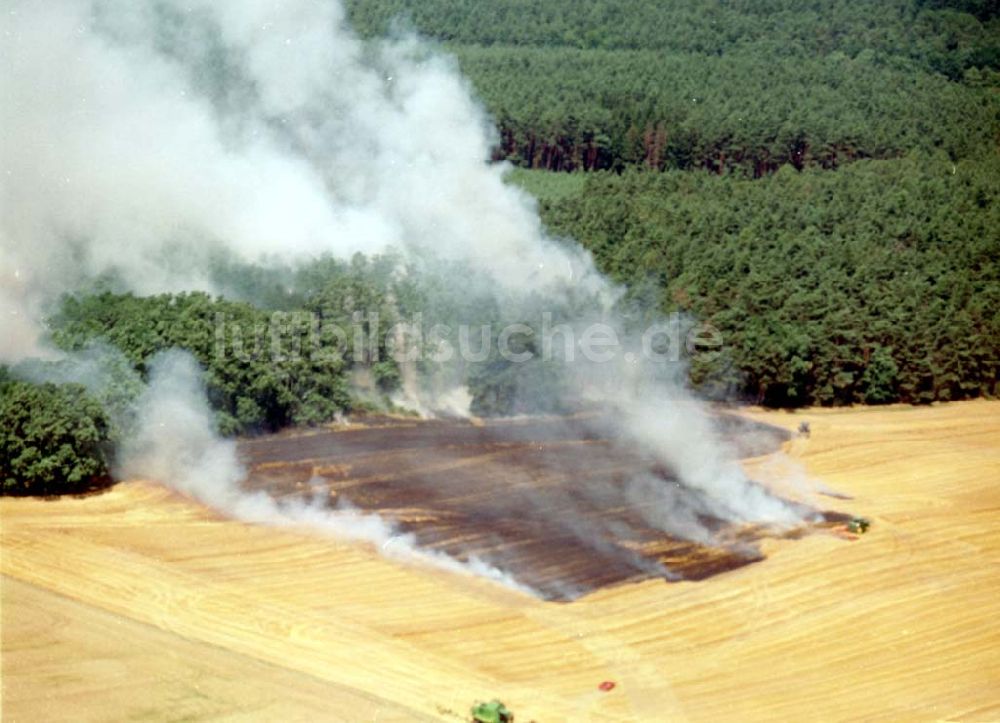 Luftbild Buckow - Getreidefeldbrand südlich von Buckow in der Märkischen Schweiz am 09.07.02 gegen 14:00 Uhr MEZ