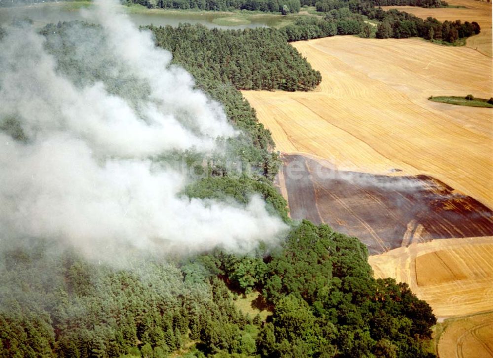 Buckow aus der Vogelperspektive: Getreidefeldbrand südlich von Buckow in der Märkischen Schweiz am 09.07.02 gegen 14:00 Uhr MEZ