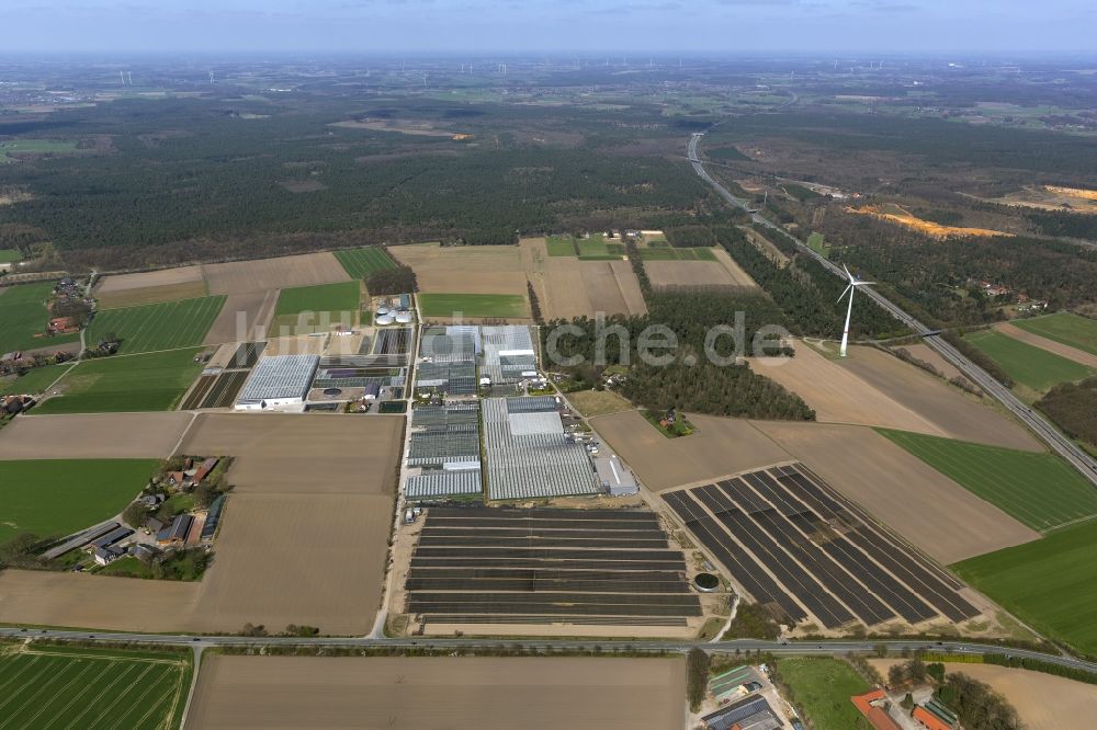 Schermbeck aus der Vogelperspektive: Gewächshaus - Anlagen des Gartenbaubetrieb der Aldenhoff GbR in Schermbeck im Bundesland Nordrhein-Westfalen