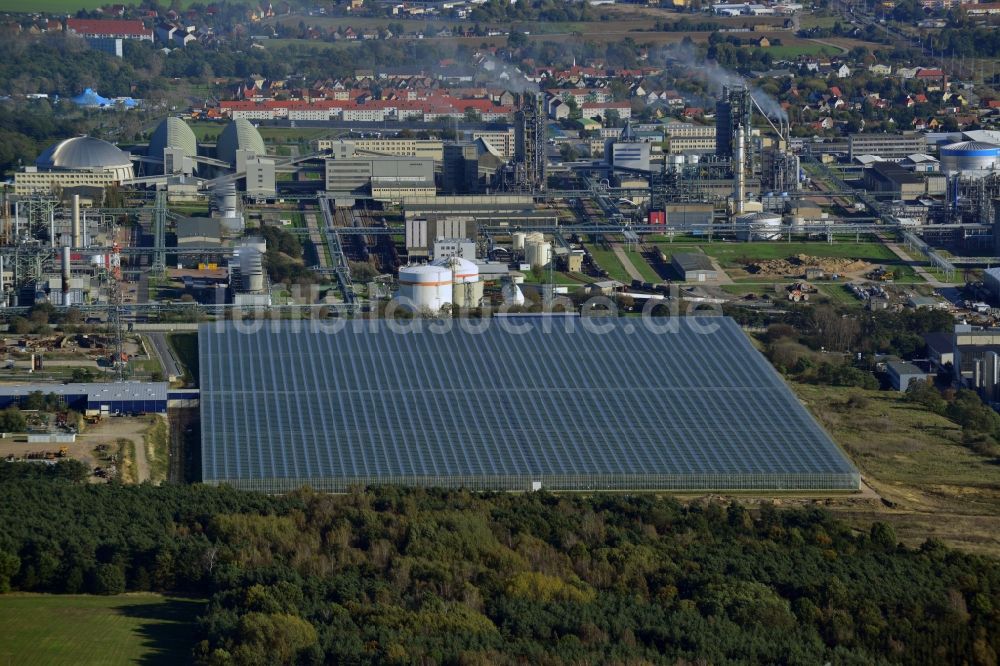 Luftbild Lutherstadt Wittenberg - Gewächshausneubau am Stadtteil Apollensdorf - Piesteritz in Lutherstadt Wittenberg im Bundesland Sachsen-Anhalt