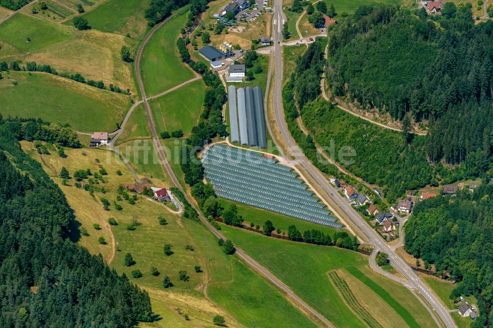 Oppenau von oben - Gewächshausreihen in Oppenau im Bundesland Baden-Württemberg, Deutschland