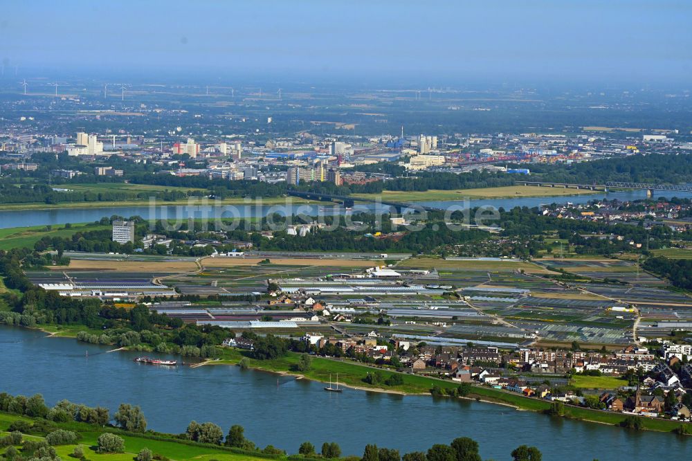 Düsseldorf aus der Vogelperspektive: Gewächshausreihen am Ufer des Rhein - Flußverlaufes in Düsseldorf im Bundesland Nordrhein-Westfalen, Deutschland