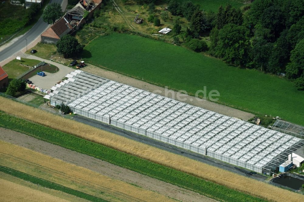 Luftaufnahme Altlandsberg - Gewächshausreihen zur Blumenzucht in Altlandsberg im Bundesland Brandenburg