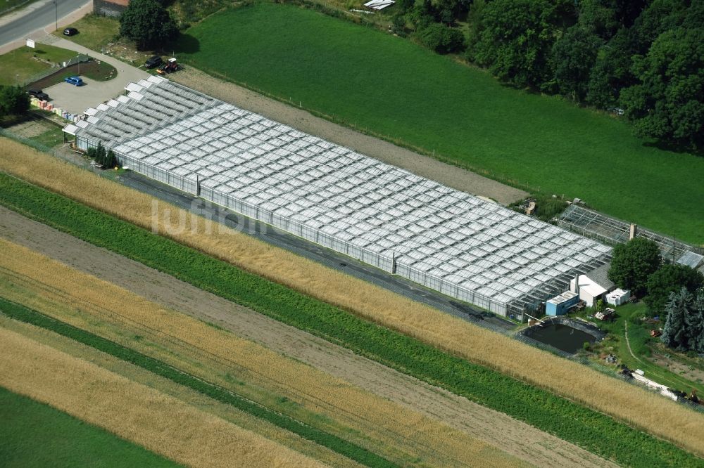 Altlandsberg von oben - Gewächshausreihen zur Blumenzucht in Altlandsberg im Bundesland Brandenburg