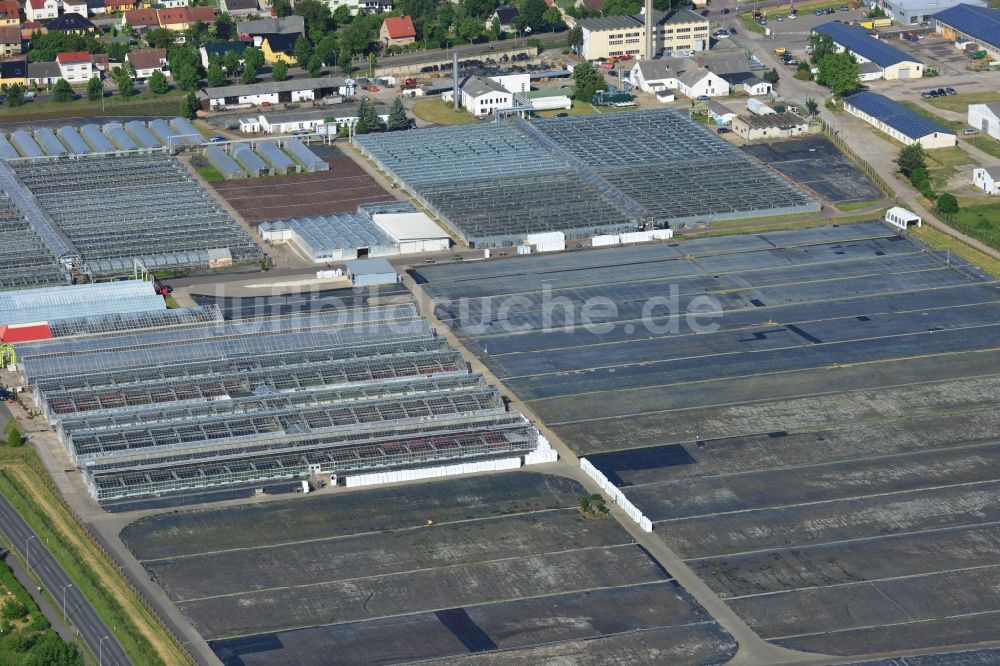 Luftaufnahme Genthin - Gewächshausreihen zur Blumenzucht in Genthin im Bundesland Sachsen-Anhalt