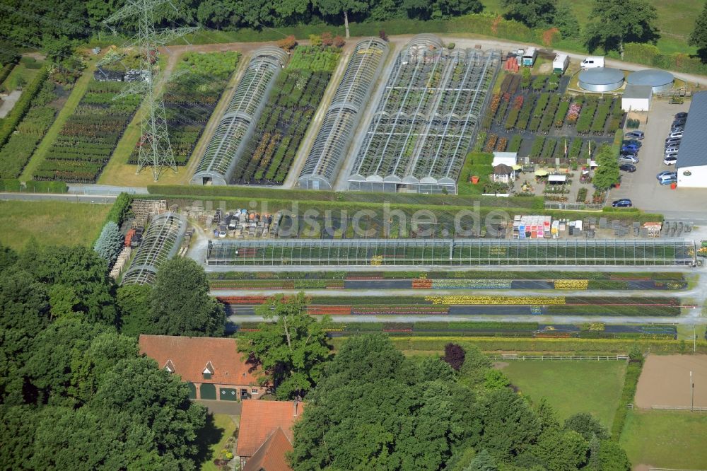 Luftaufnahme Gütersloh - Gewächshausreihen zur Blumenzucht in Gütersloh im Bundesland Nordrhein-Westfalen