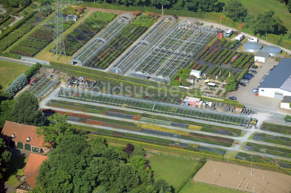 Gütersloh von oben - Gewächshausreihen zur Blumenzucht in Gütersloh im Bundesland Nordrhein-Westfalen