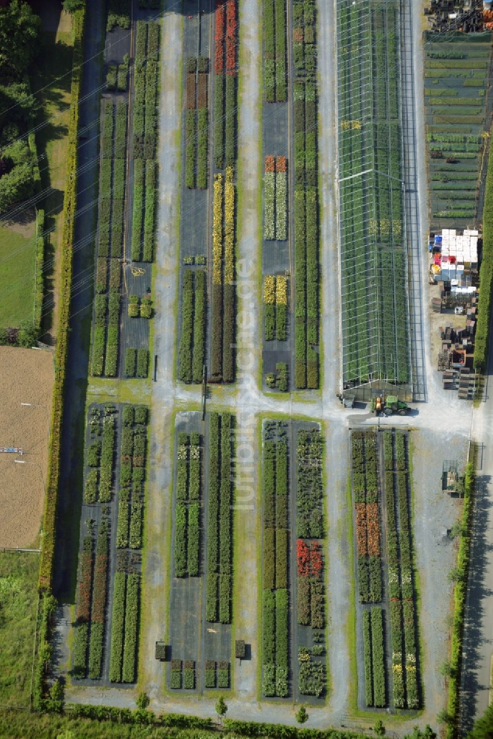 Luftbild Gütersloh - Gewächshausreihen zur Blumenzucht in Gütersloh im Bundesland Nordrhein-Westfalen