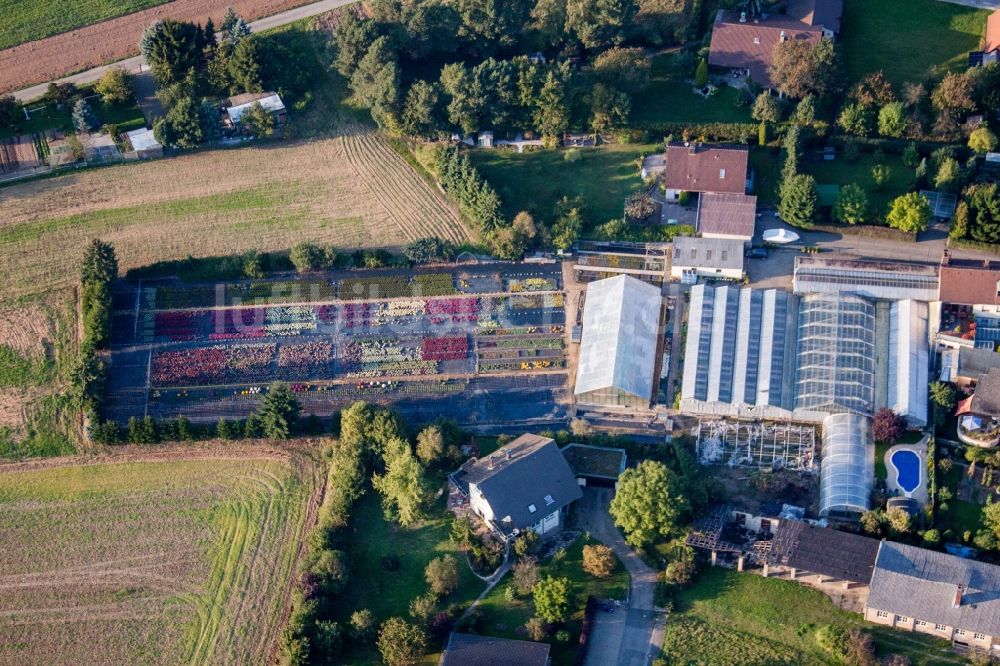 Luftaufnahme Hirschaid - Gewächshausreihen zur Blumenzucht in Hirschaid im Bundesland Bayern, Deutschland